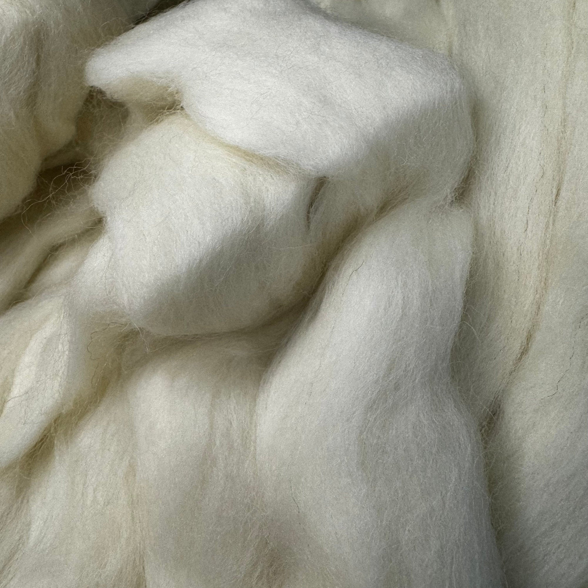 Recycled Merino SW / Recycled Nylon