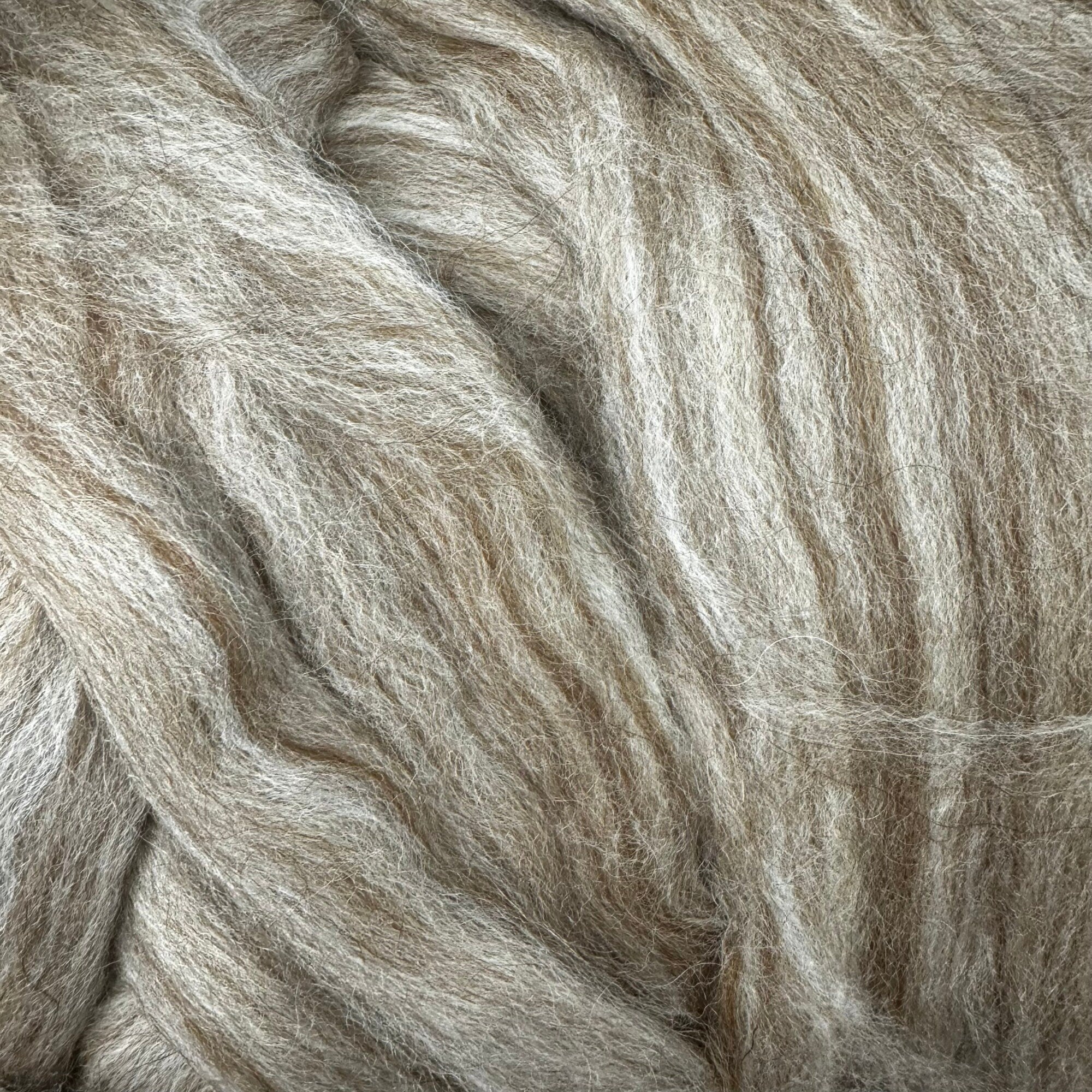 Polwarth / Llama / Tussah Silk