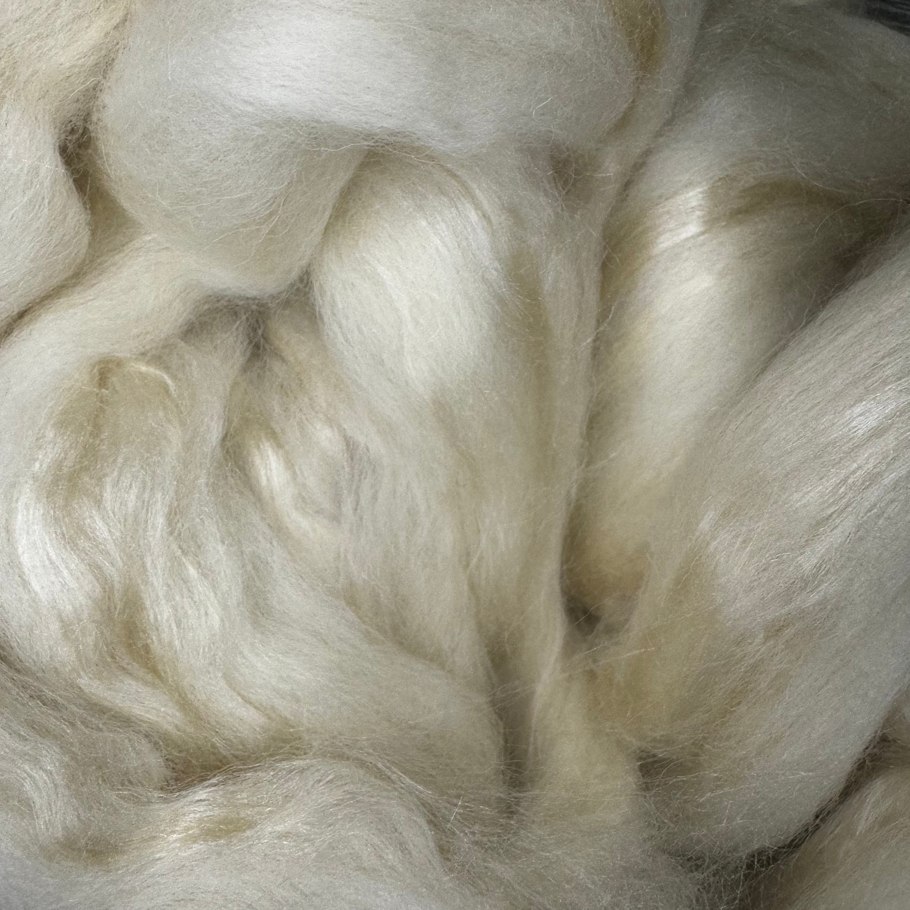 Shetland / Tussah Silk