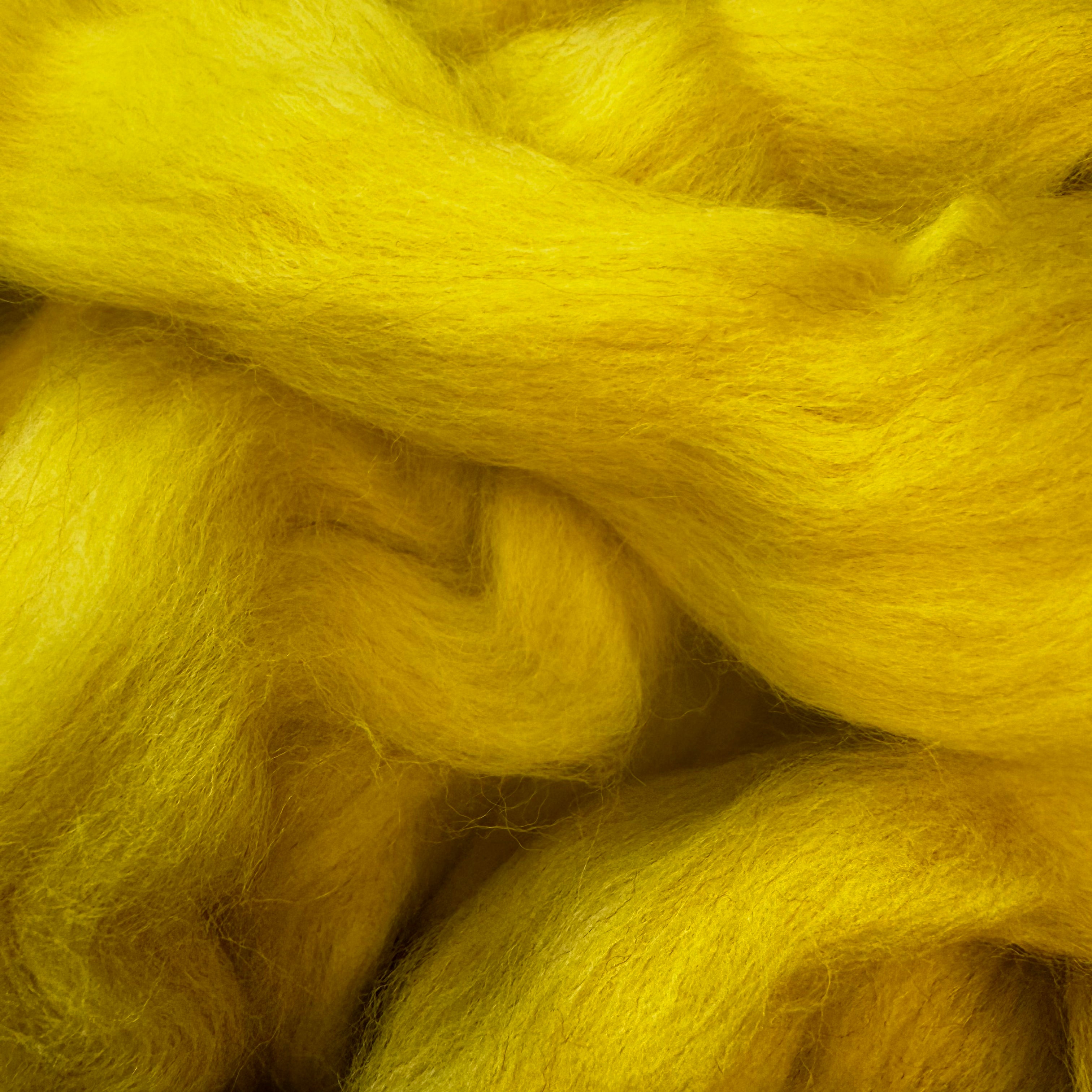 Speckle Dandelion Yellow