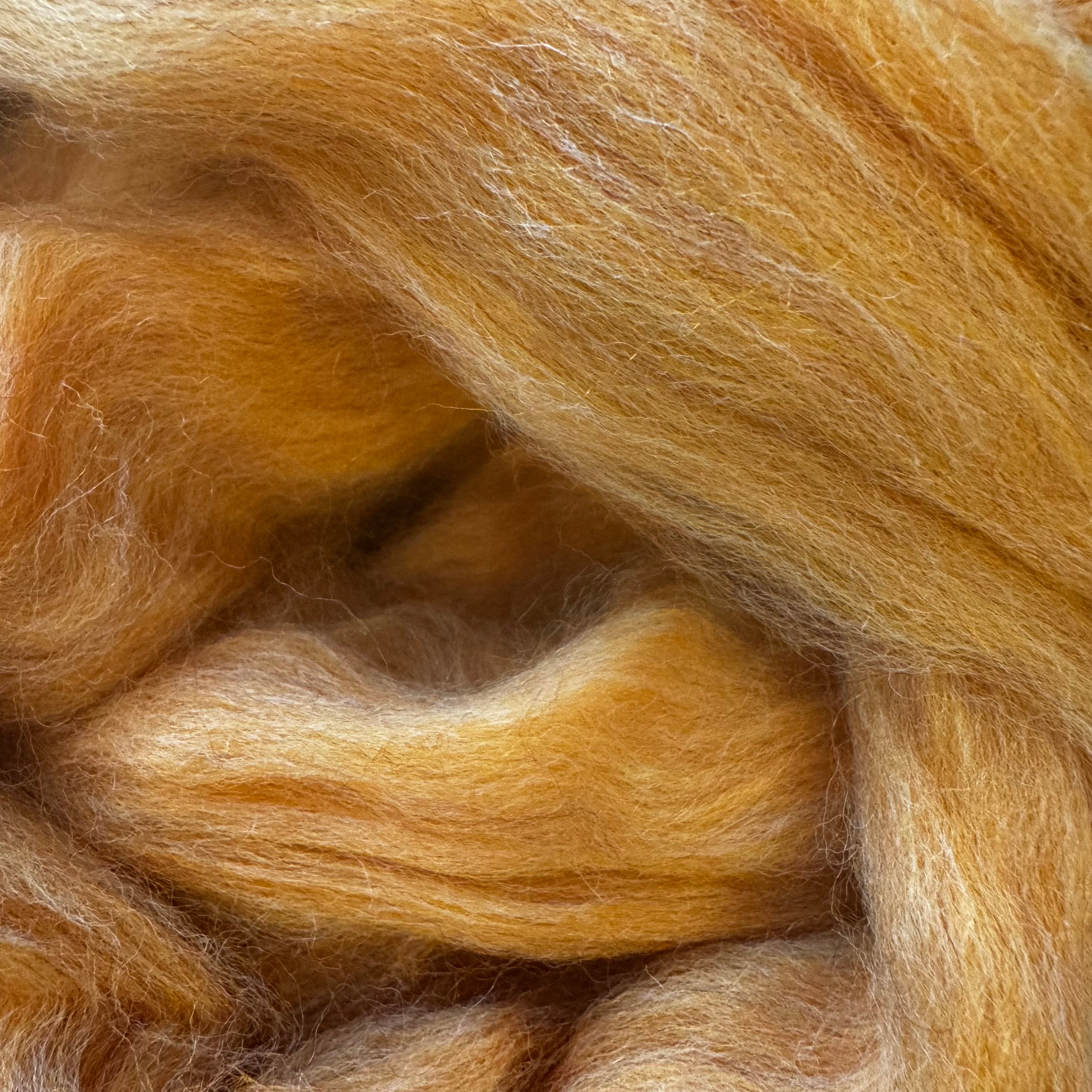 Speckle Marmalade Orange