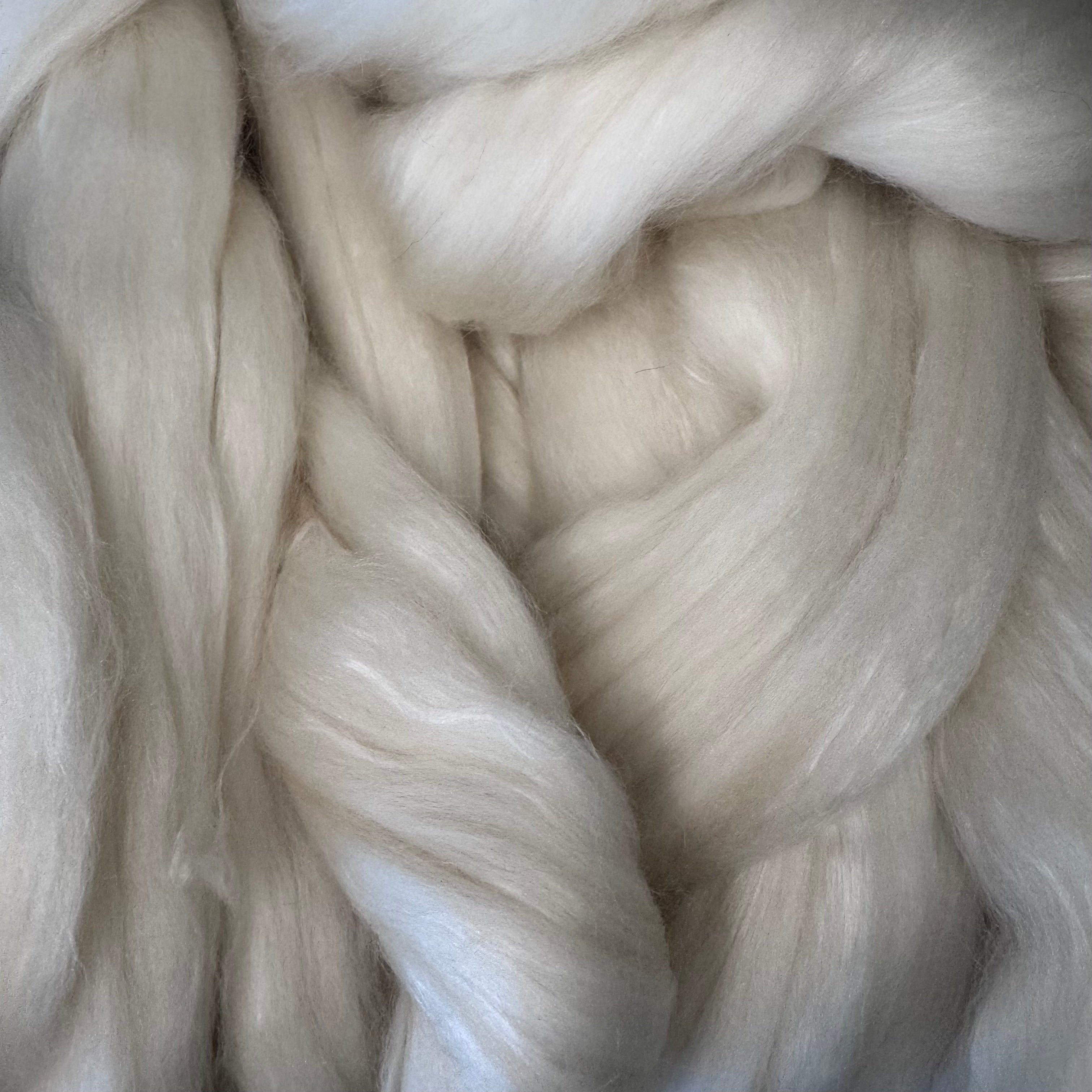 Polwarth / Camel / Mulberry Silk