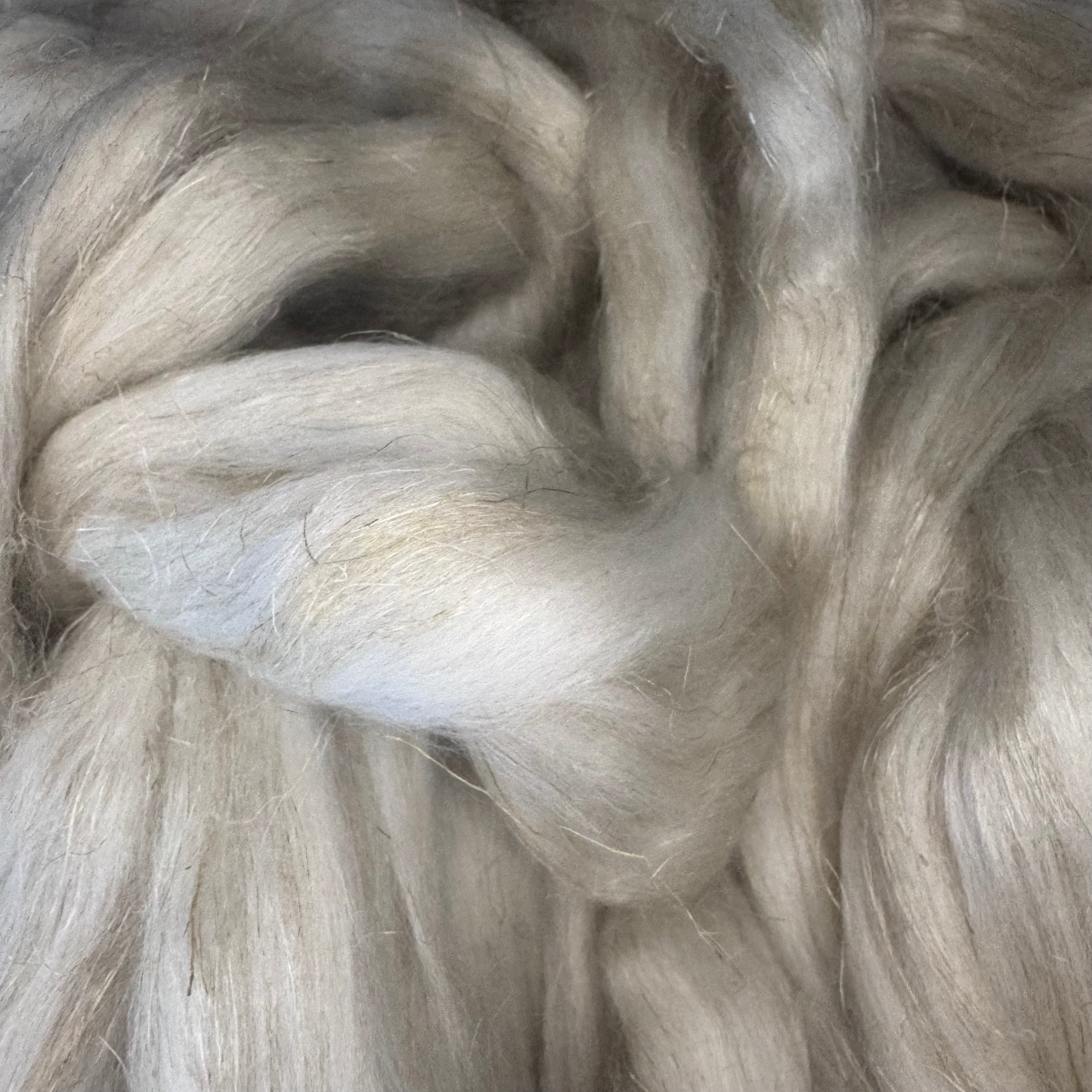 Polwarth / Flax Linen