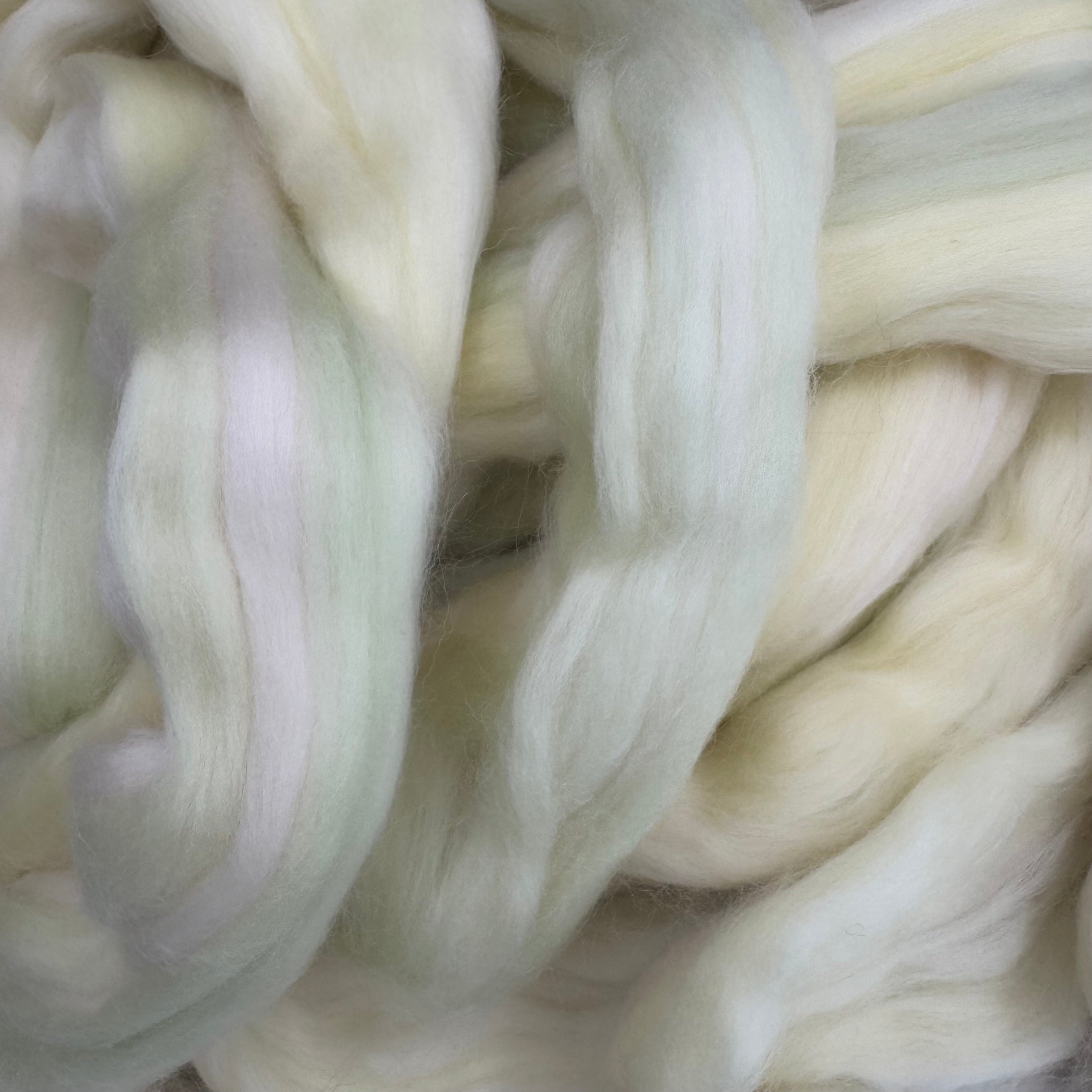 Spirit of the Cyrcus