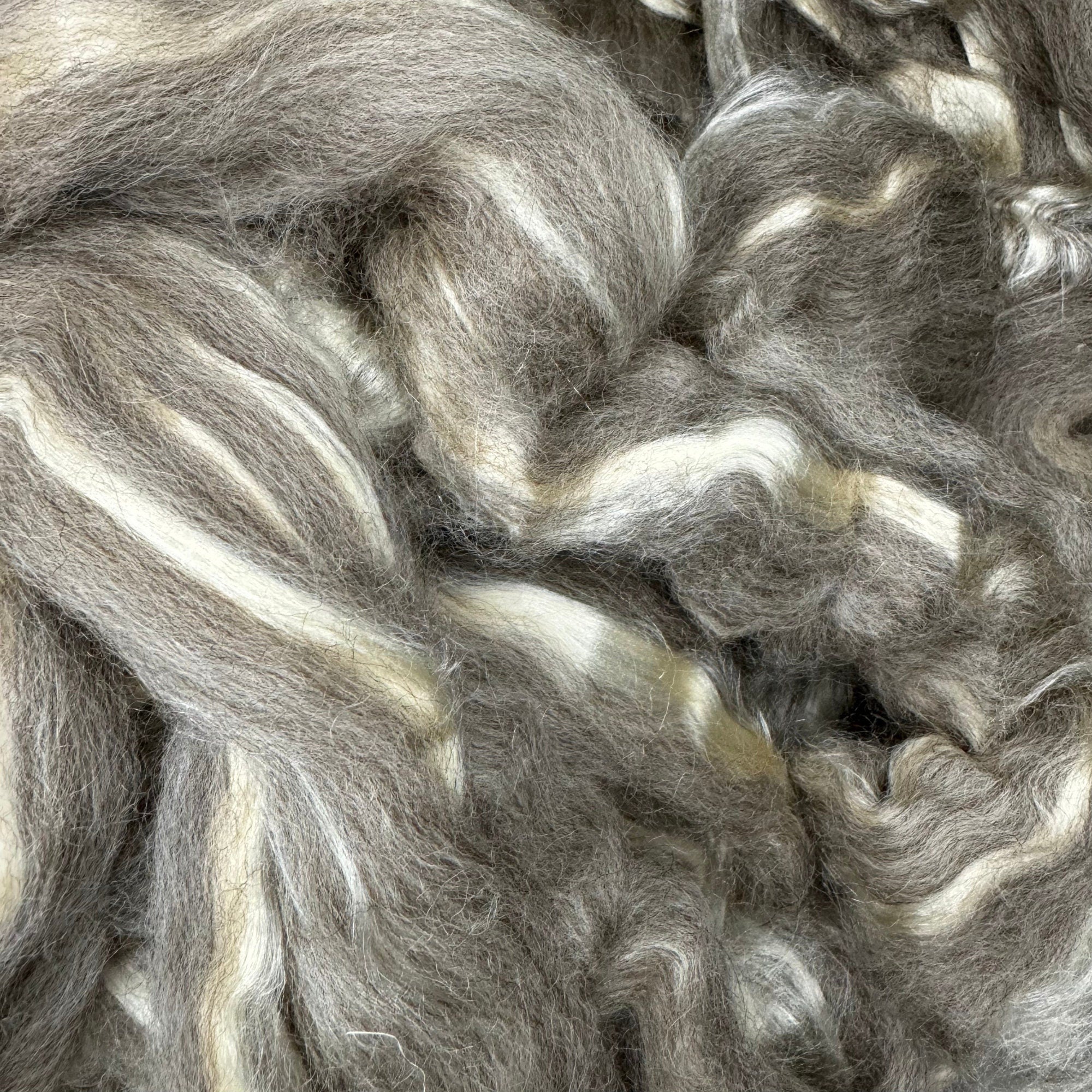 Oatmeal BFL / Tussah Silk