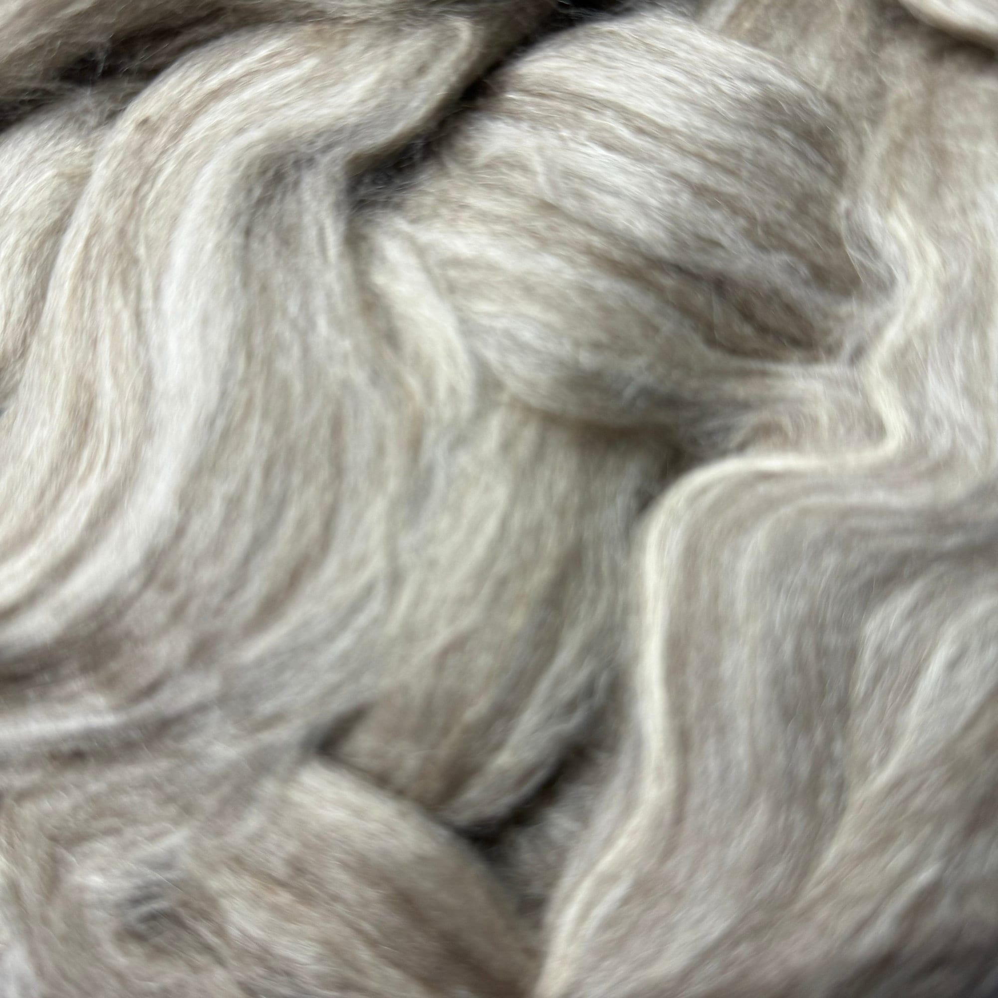 UK Alpaca / BFL / Polwarth
