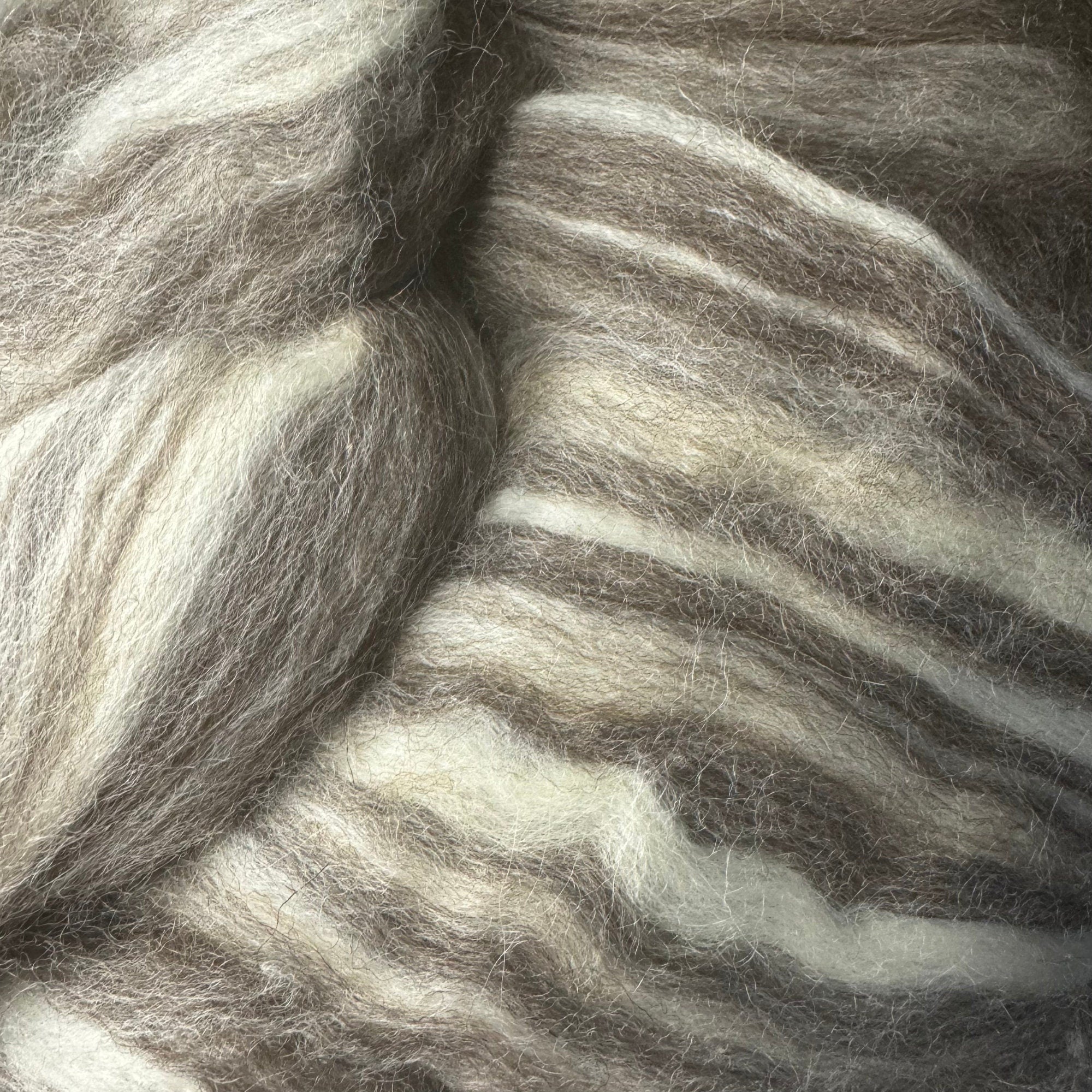 BFL