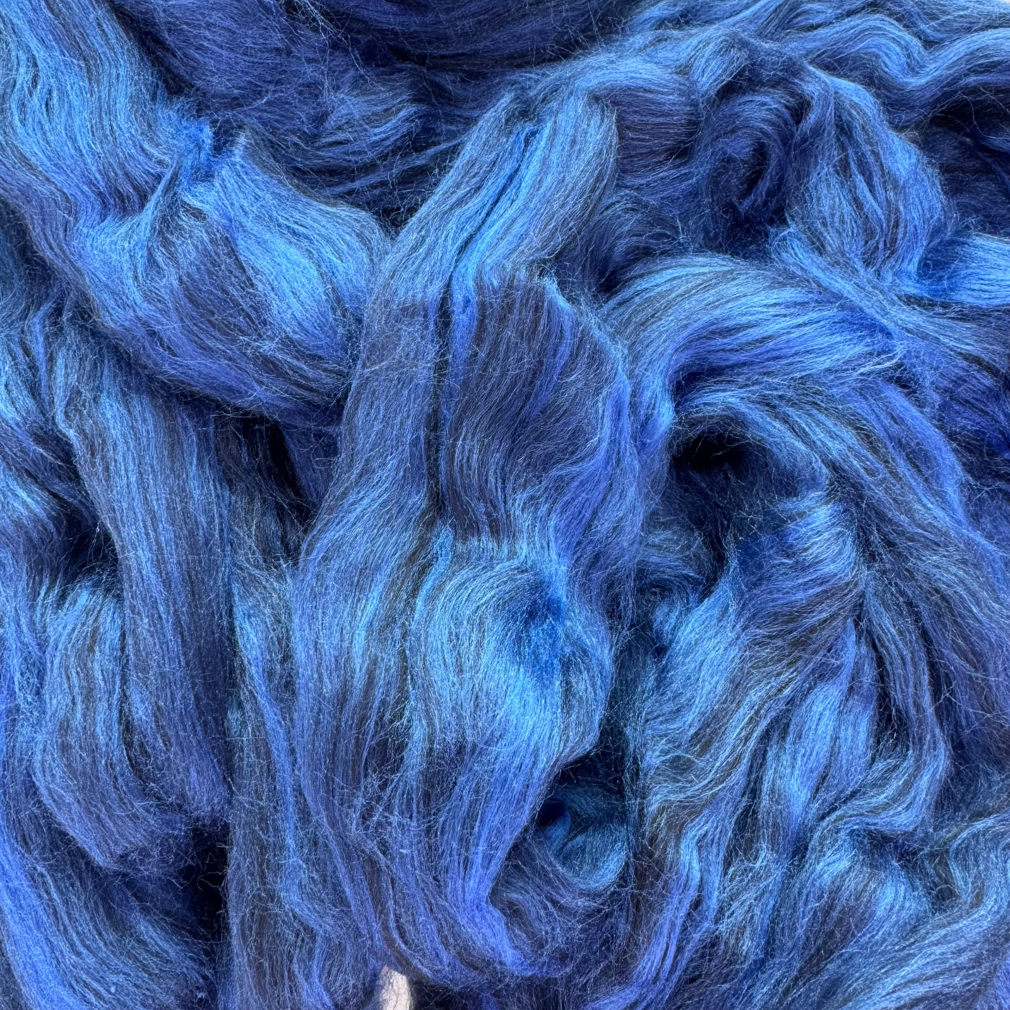 Blueberry
