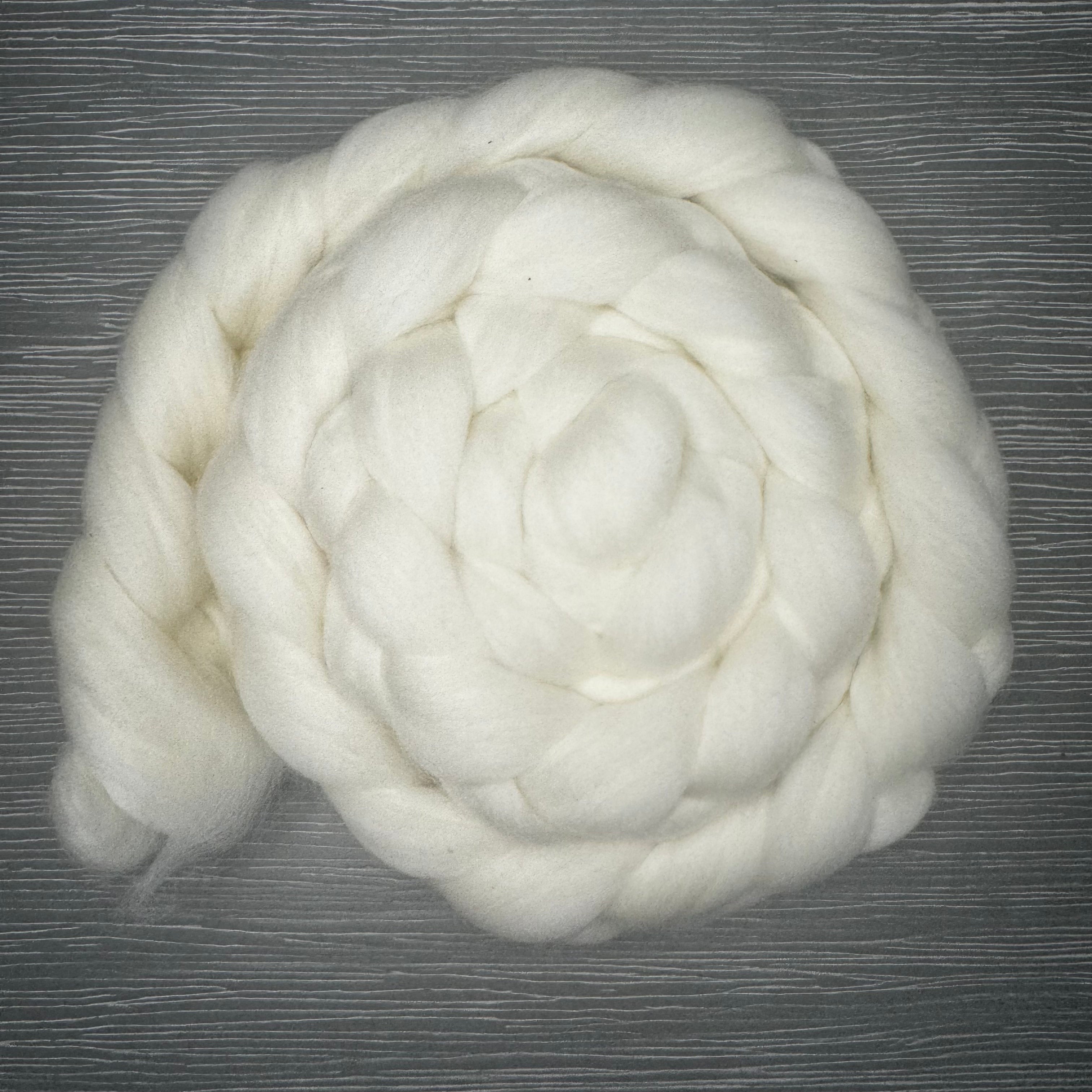 SW Merino