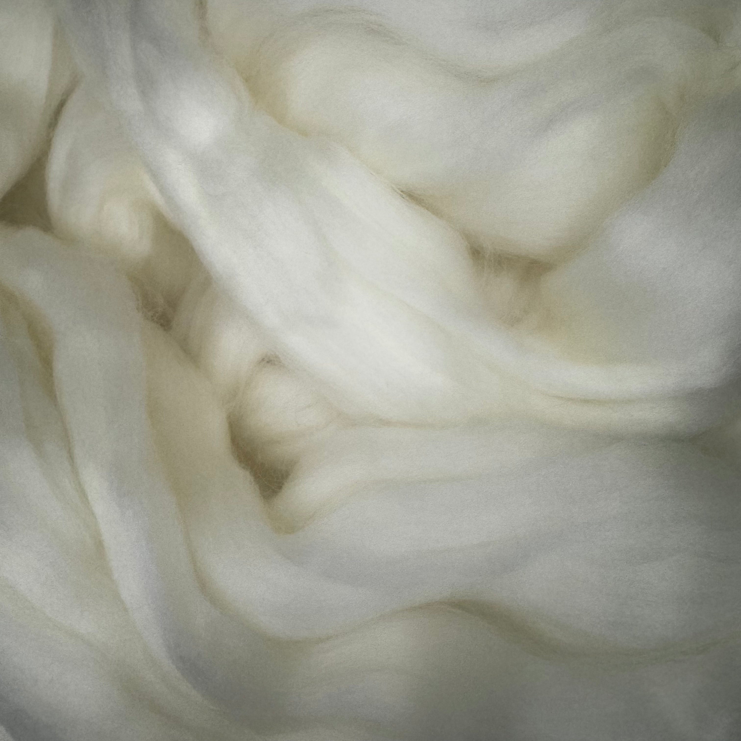SW Merino