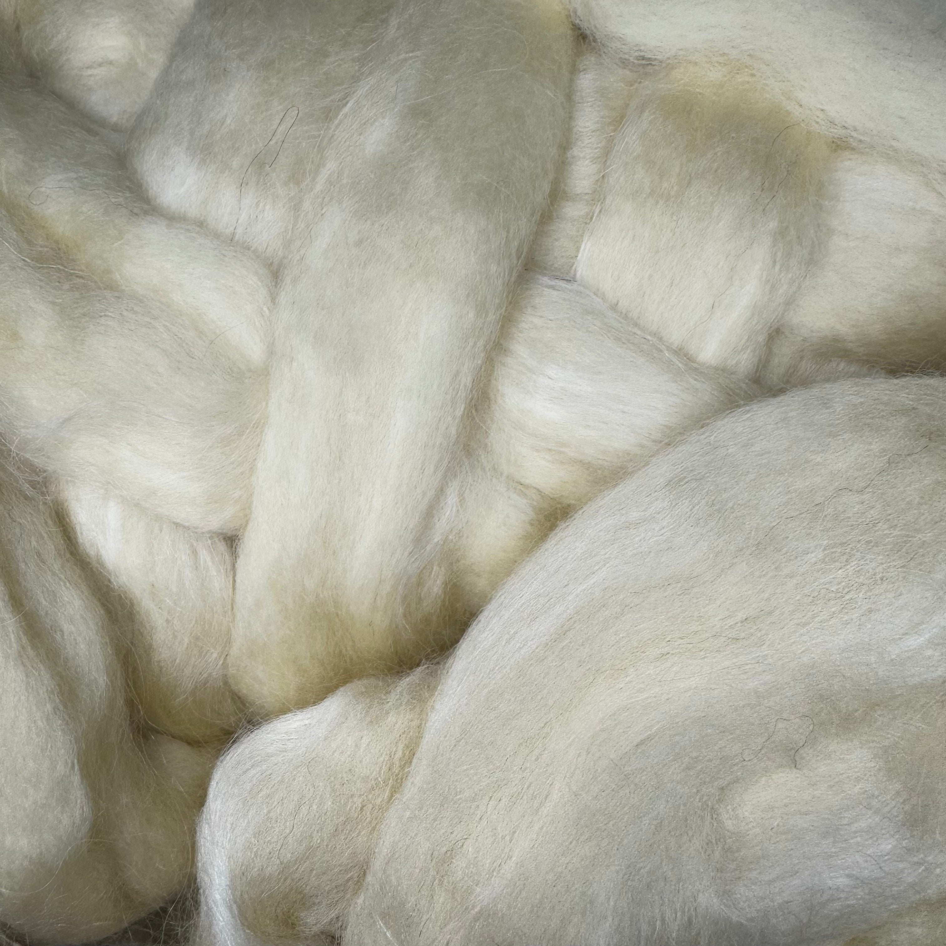 BFL / Kid Mohair