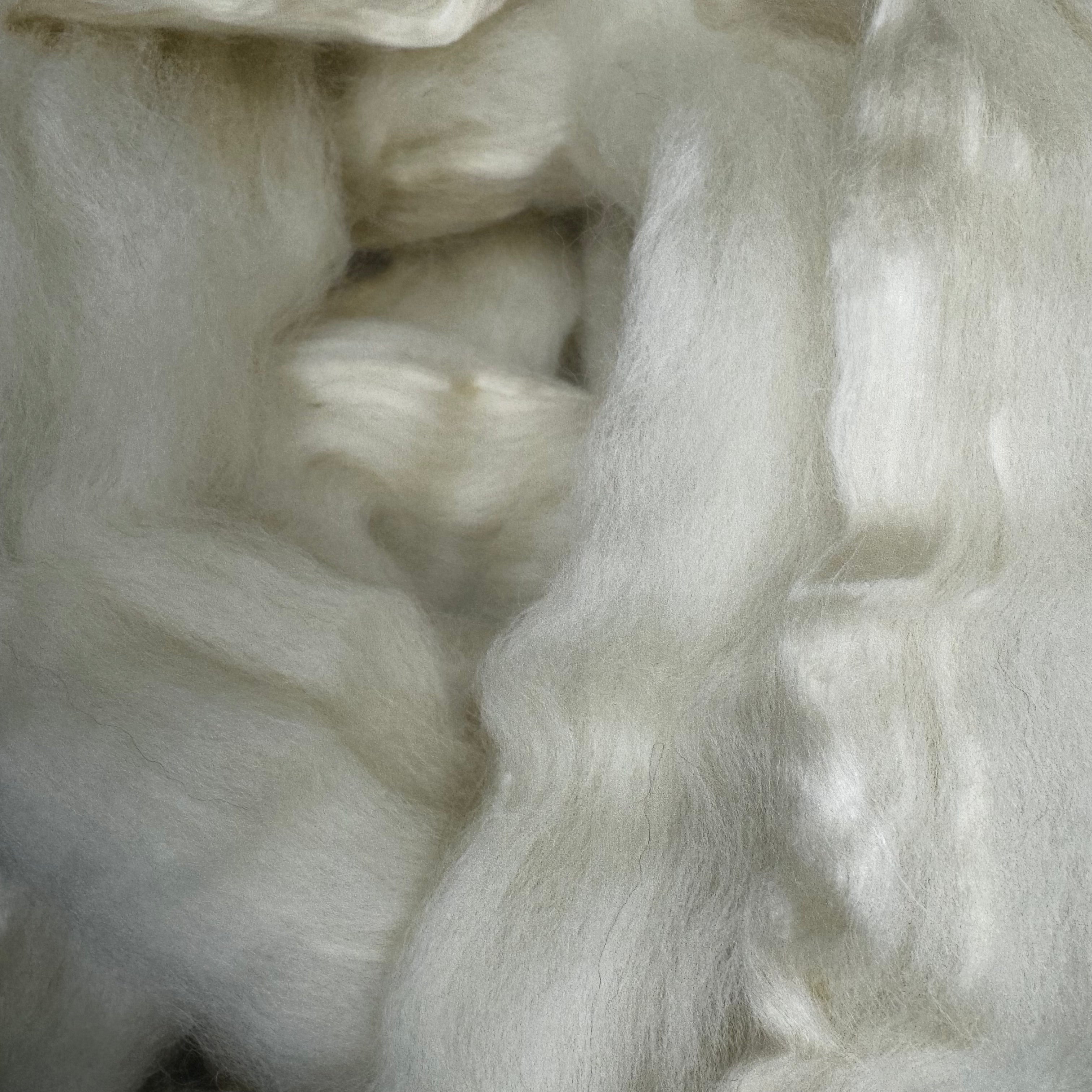 BFL / Seacell