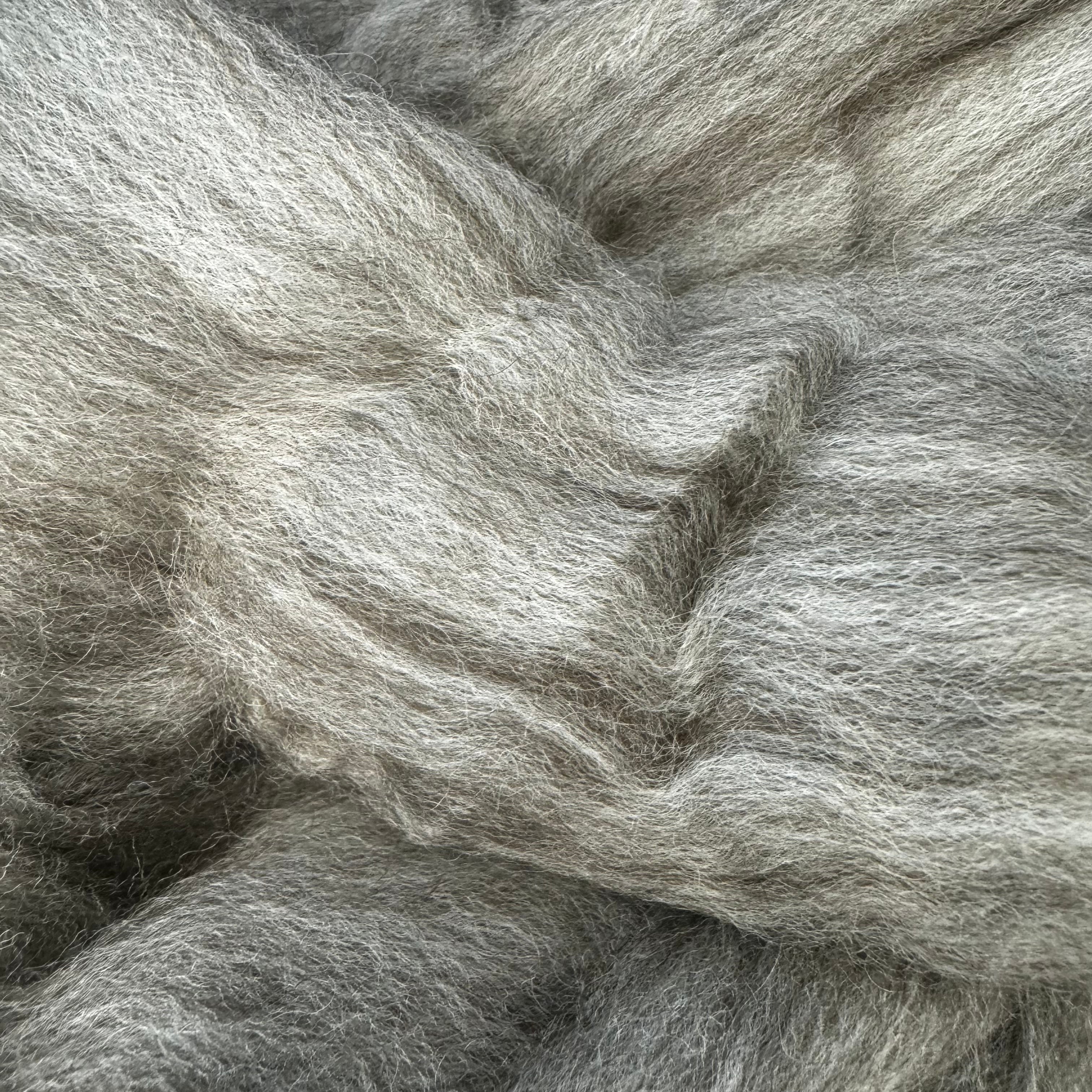 Polwarth / Yak