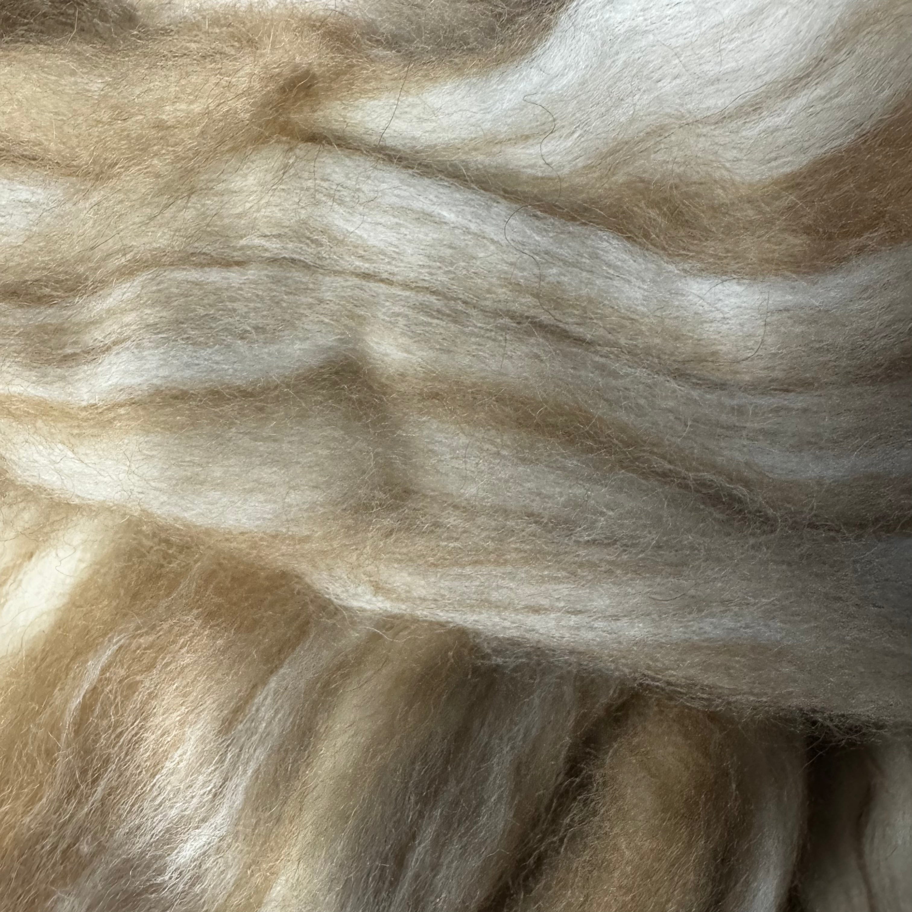 Merino / Baby Camel