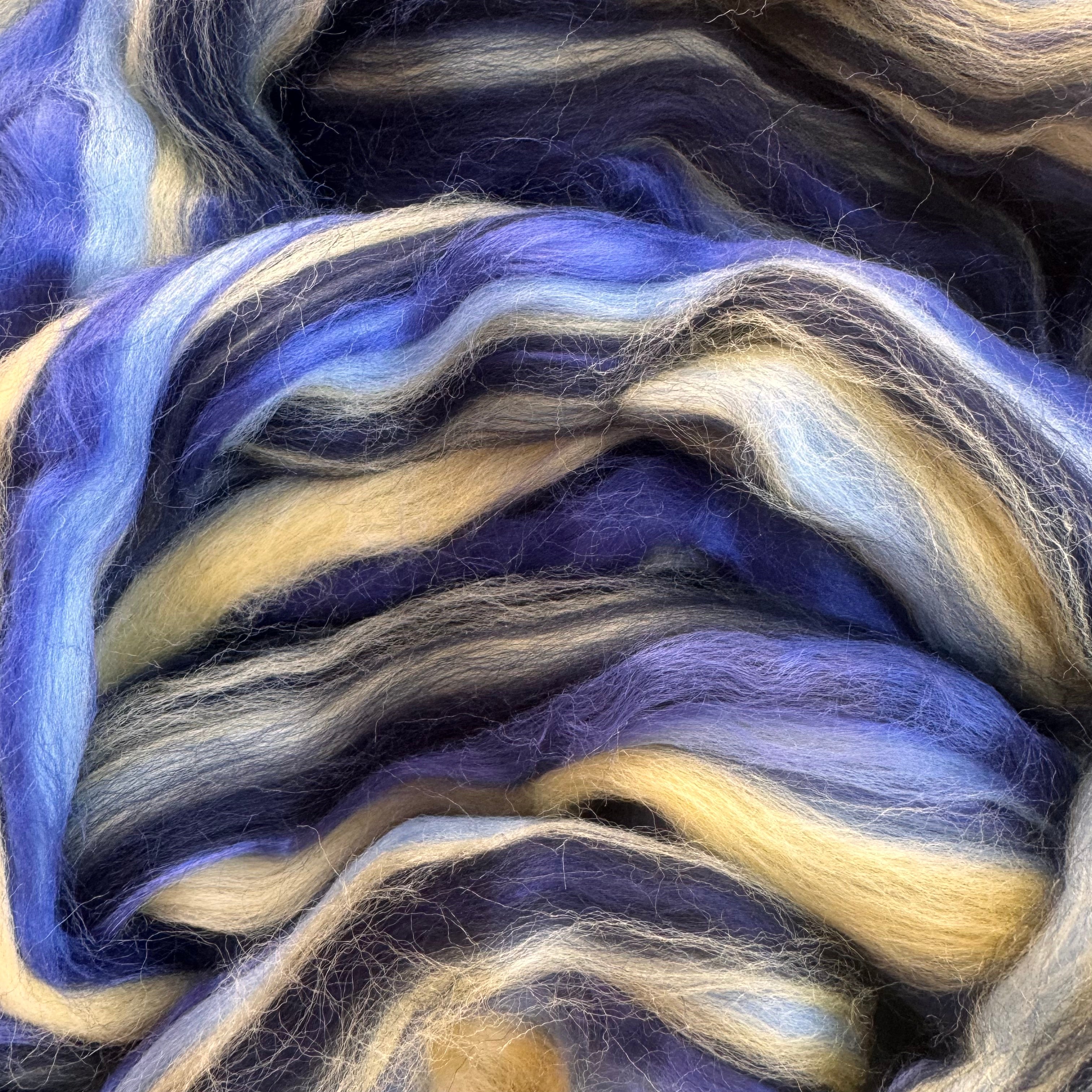 Blue Tang