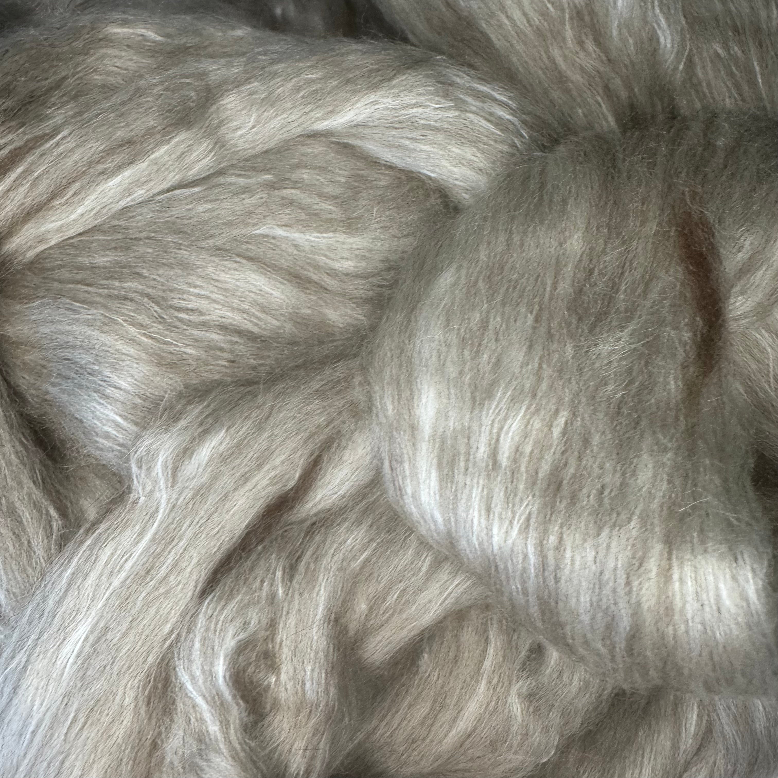 BFL / Lotus