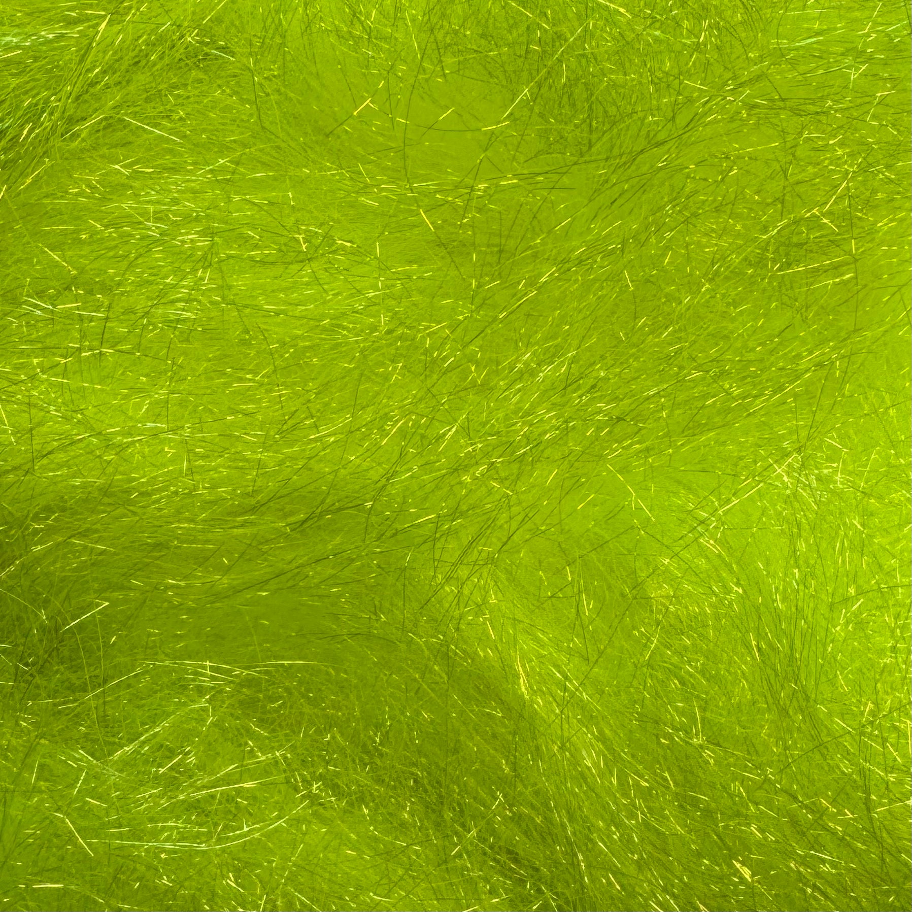 Citronella
