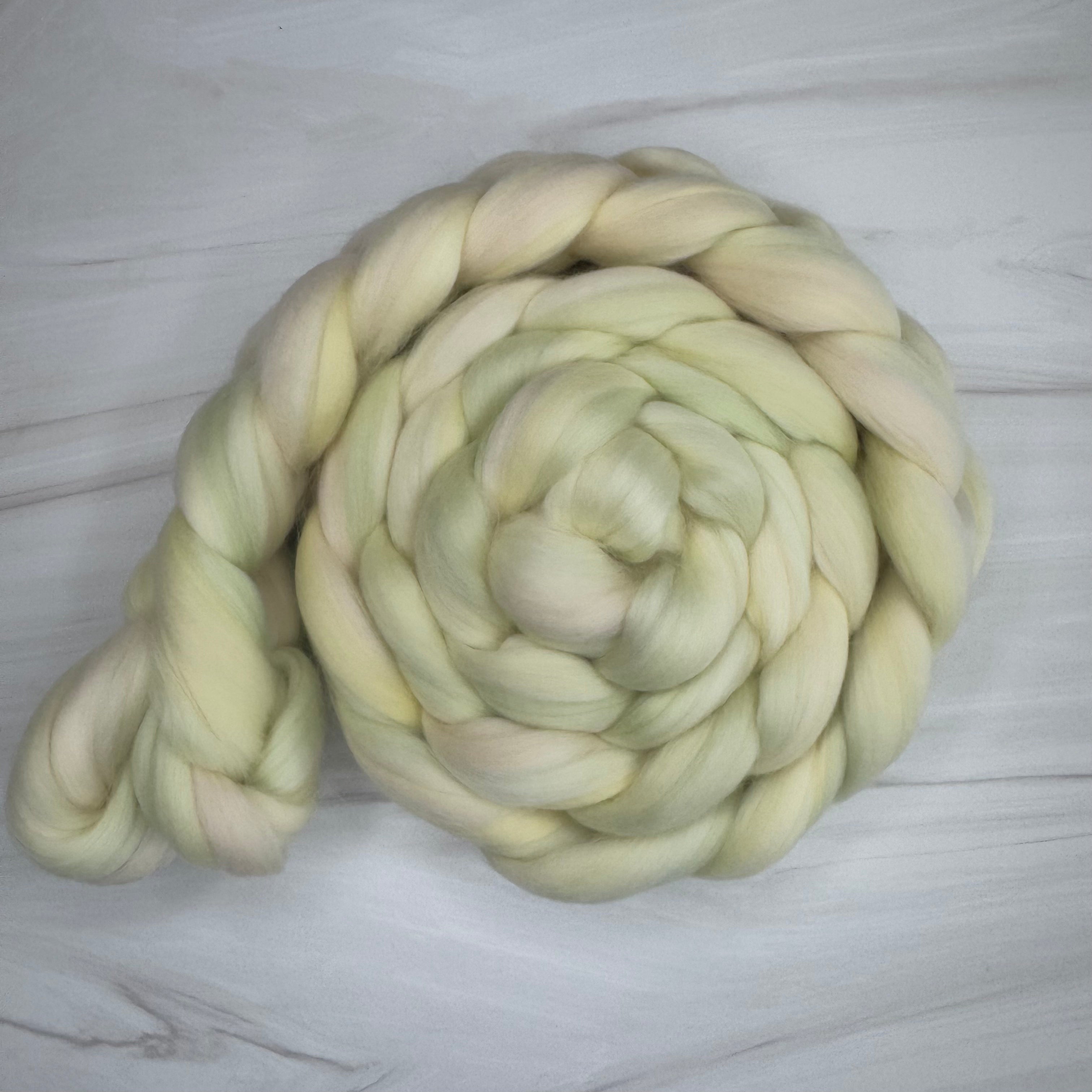 Spirit of the Cyrcus